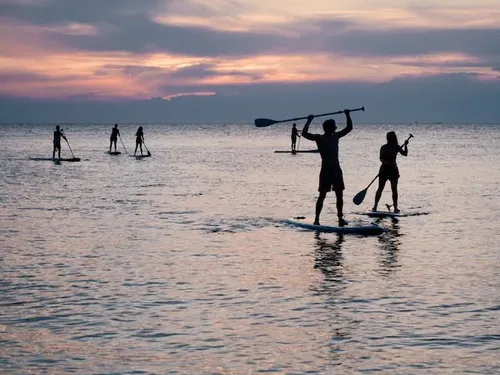 Group of stand up paddle boarders in sea
